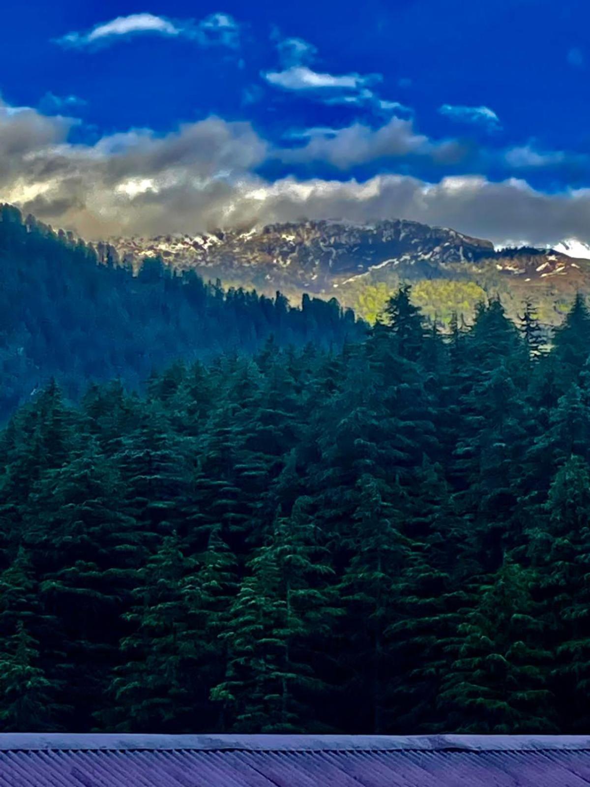 Sparsh Resort, A Boutique Stay - Just 2Kms Uphill From Mall Road, Near Old Manali מראה חיצוני תמונה